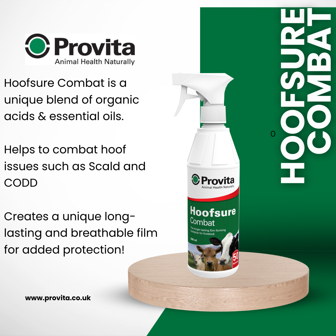 Provita Hoofsure Combat Hoof Spray -500ml
