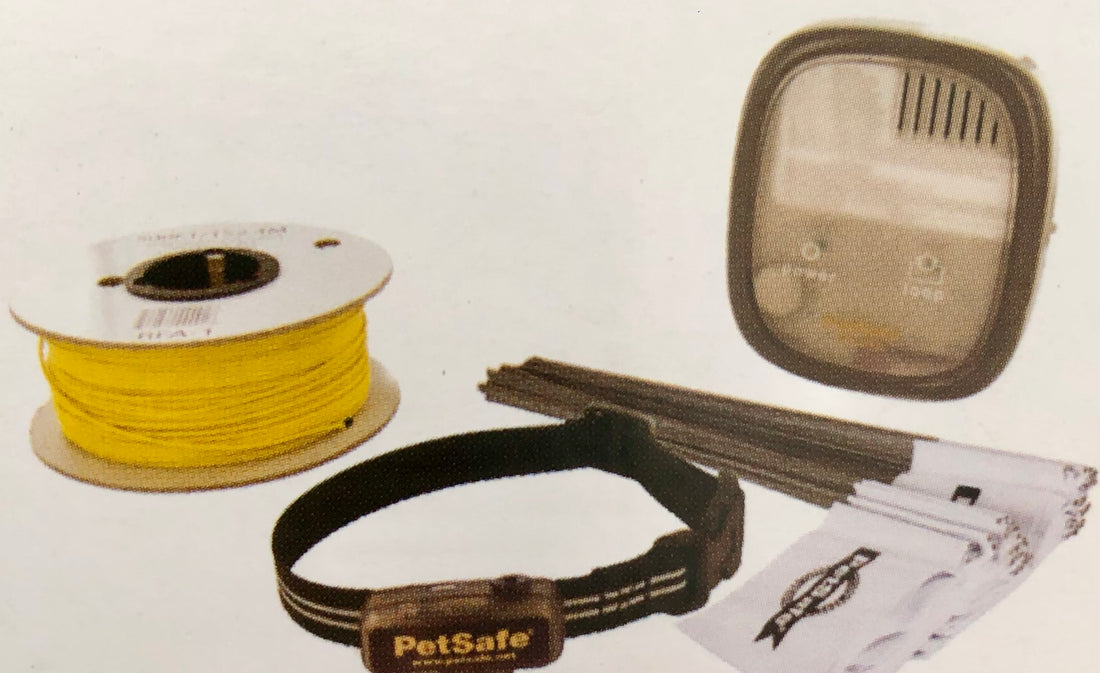 Little Dog Radio Fence