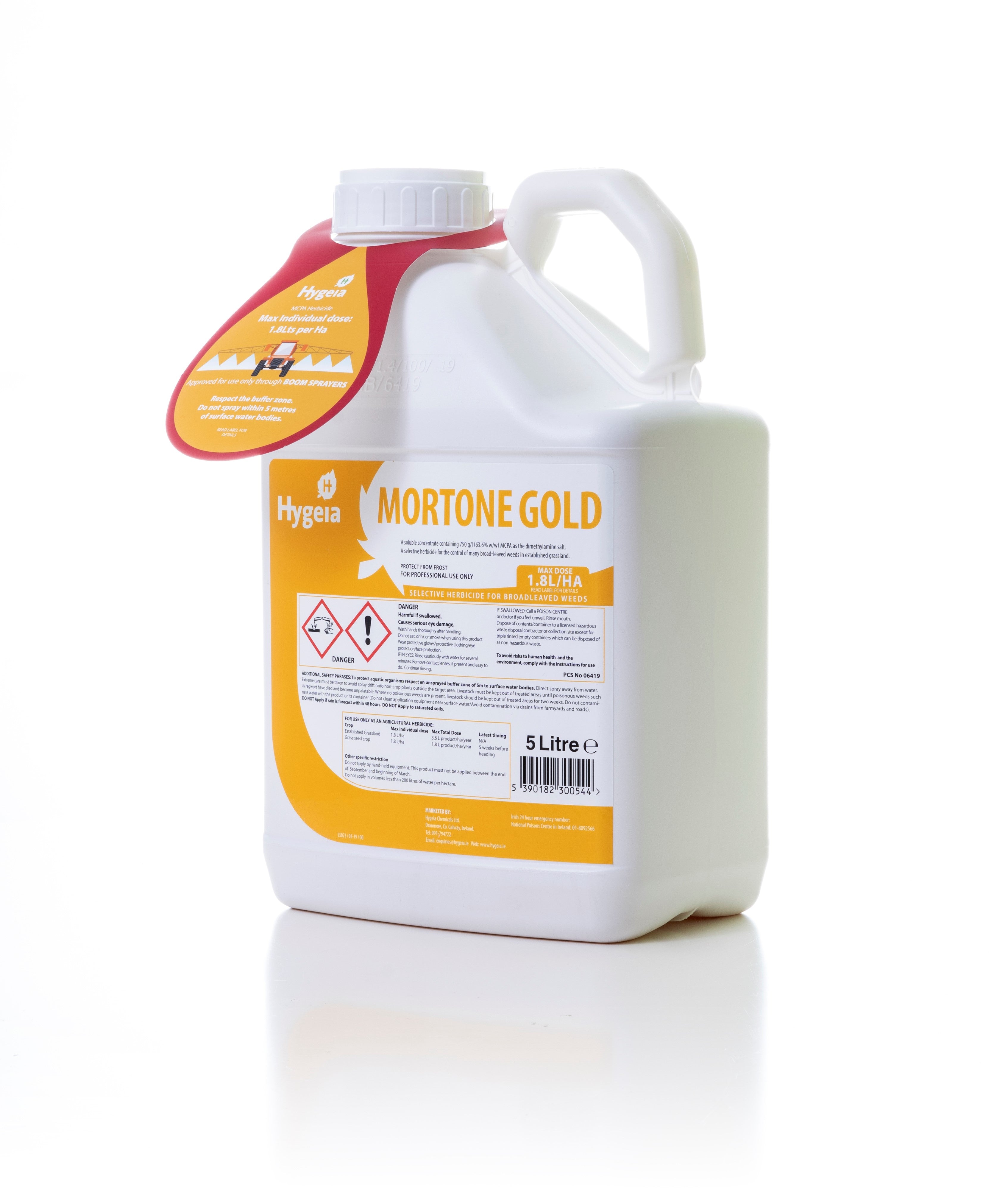 Mortone Gold