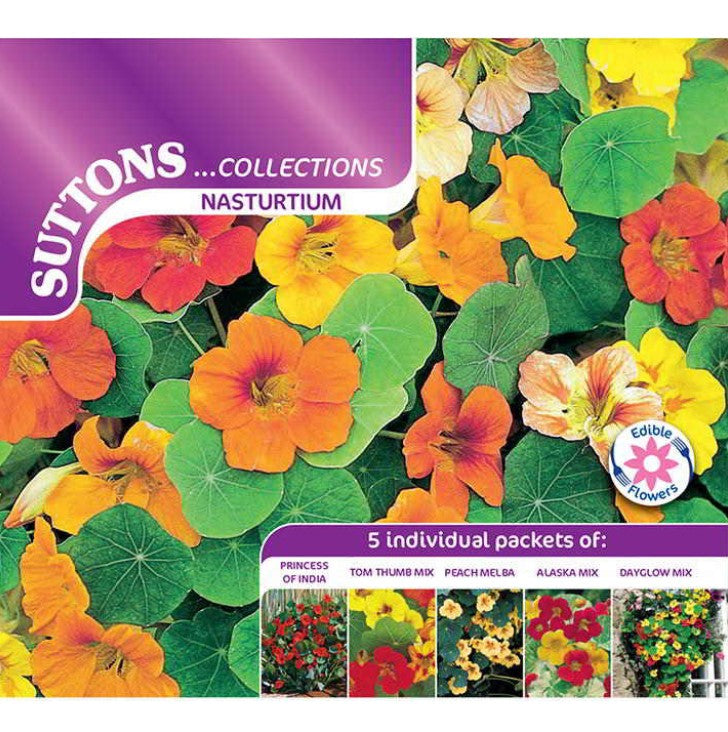 Nasturtium Collection Flower Seeds