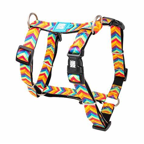M&M Summertime H Harness