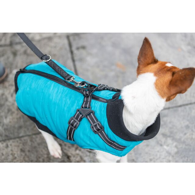 Trixie Pontis Coat with Harness Aqua