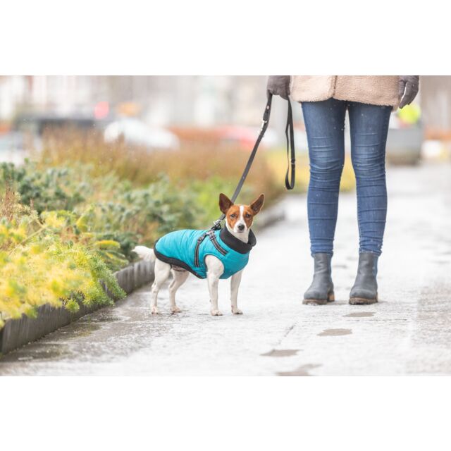Trixie Pontis Coat with Harness Aqua