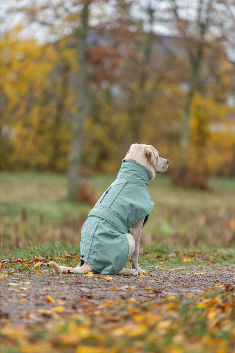 Trixie CityStyle Dublin Raincoat Sage