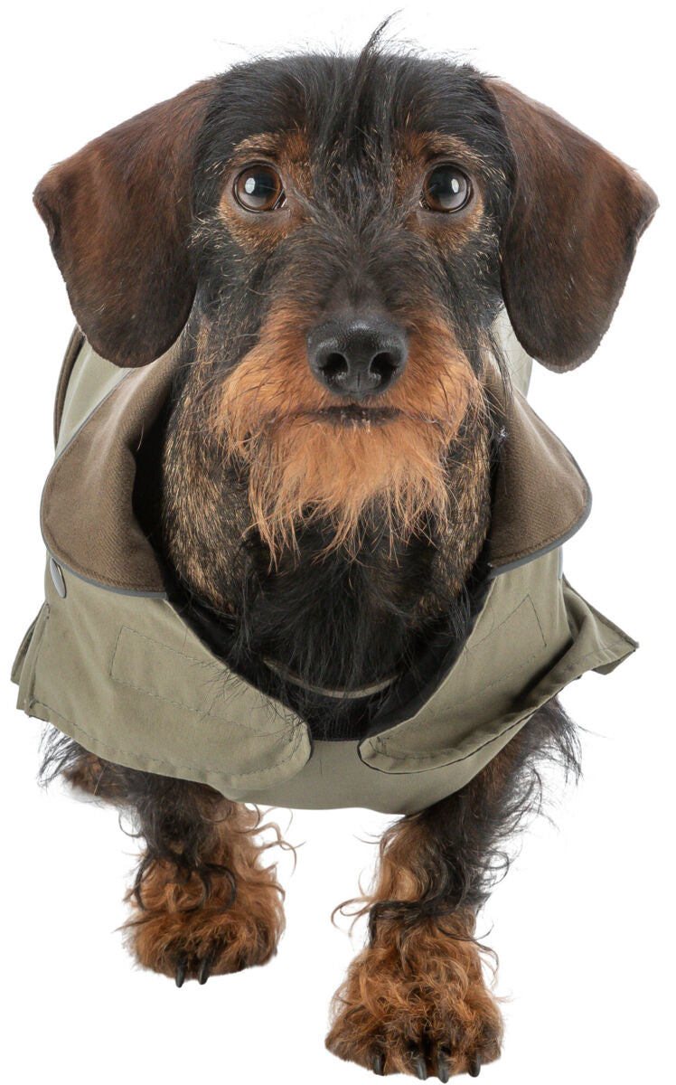 Trixie Hermy Coat Olive Green