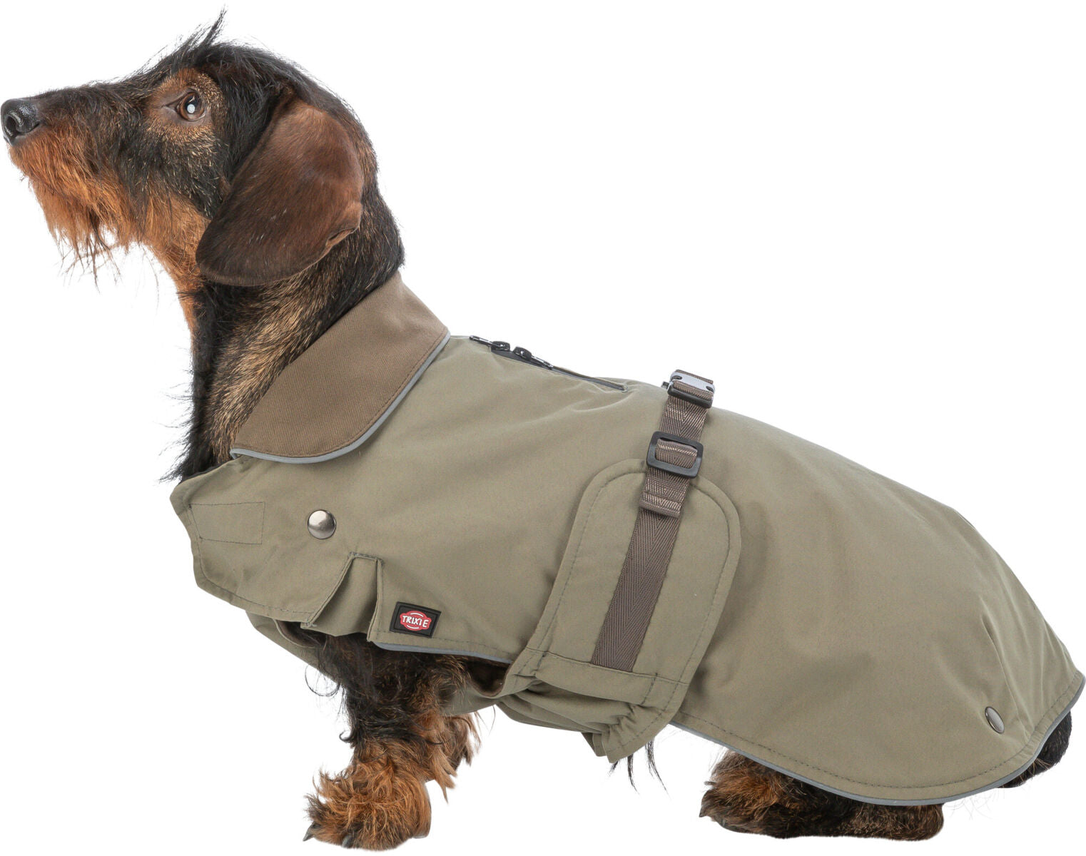 Trixie Hermy Coat Olive Green