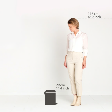 Brabantia New lcon Pedal Bin Platinum -5L