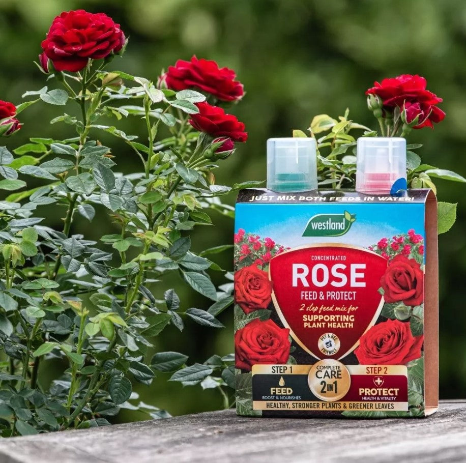 Westland 2 In1 Feed And Protect Rose 2 X 500ml