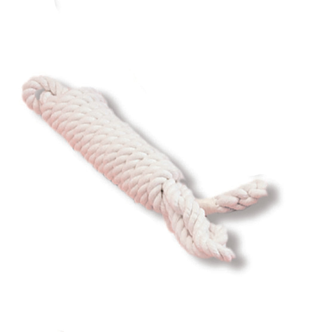 Calf & Ram Show Halter