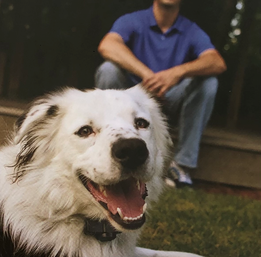 Instant Fence Receiver Collar 1910762