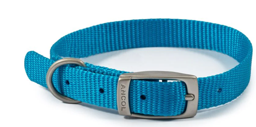 Ancol Viva Nylon Collar Blue