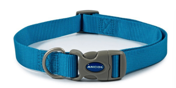 Ancol Viva Blue Nylon Adjustable Dog Collar