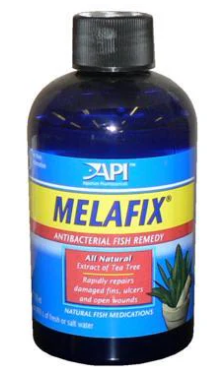 API Melafix Tea Tree Natural Bacterial Remedy 120ml