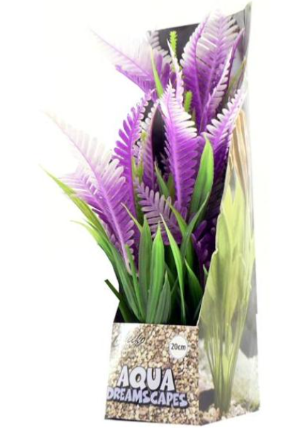 Cheeko Purple Cardinal Flower