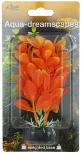 Cheeko Orange Creeping Primrose Willow