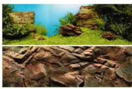 Juwel Background Poster