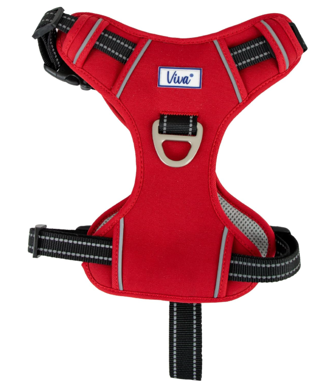 Viva Exercise & Travel Harness Red