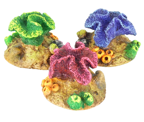 Classic Mini Coral Assorted