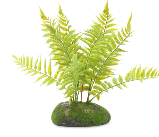 ProRep Artificial Tropical Fern Plant 25cm