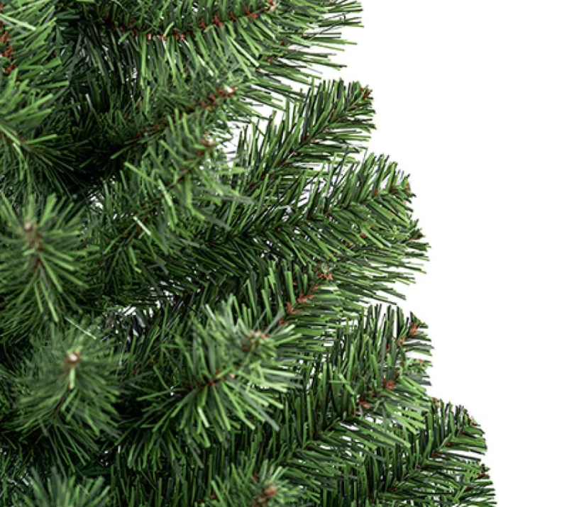Premier 90cm Woodcote Spruce in Pot