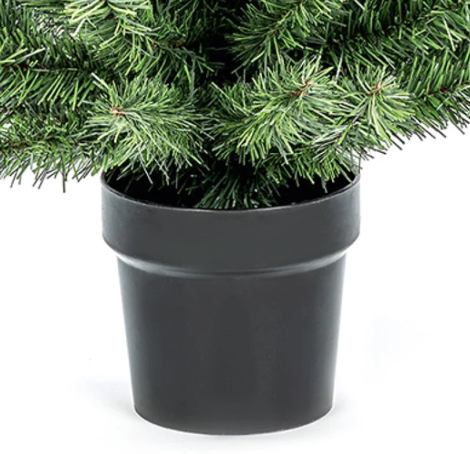 Premier 90cm Woodcote Spruce in Pot