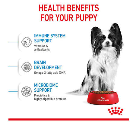 Royal Canin X-Small Puppy 1.5kg