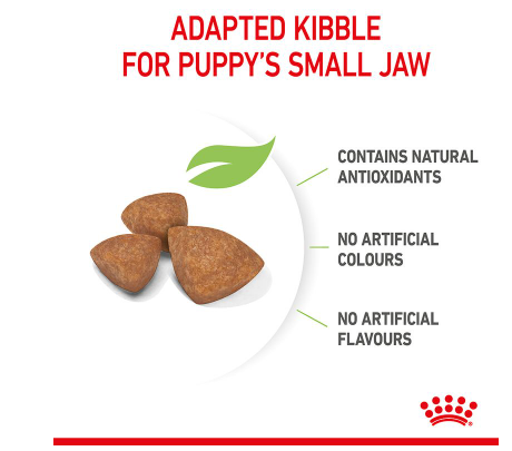 Royal Canin X-Small Puppy 1.5kg