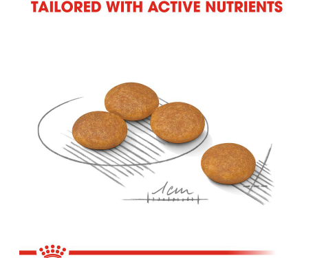 Royal Canin Mini Dermacomfort 3kg