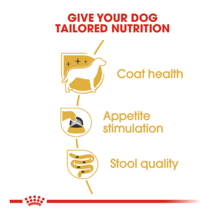 Royal Canin Yorkshire Terrier Adult Pouch, 85g