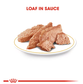 Royal Canin Dachshund Loaf 12 x 85 g