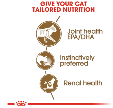 Royal Canin cat pouch -ageing 12+ in gravy FNH 85g x 12