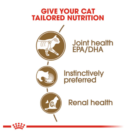 Royal Canin Ageing (12+) Jelly Pouch, 85g x 12