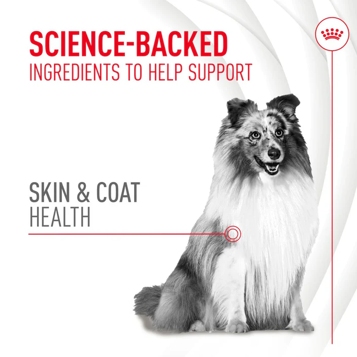 Royal Canin Adult Dog Skin & Coat Chews - 240g