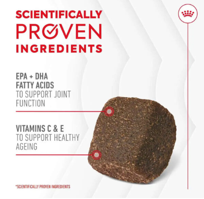 Royal Canin Joint & Ageing Supplement