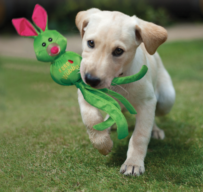 Kong Wubba Friends Ballistic