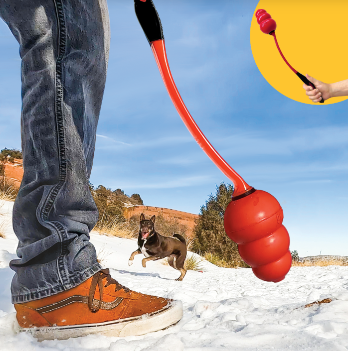 Signature KONG Throw Medium/Large