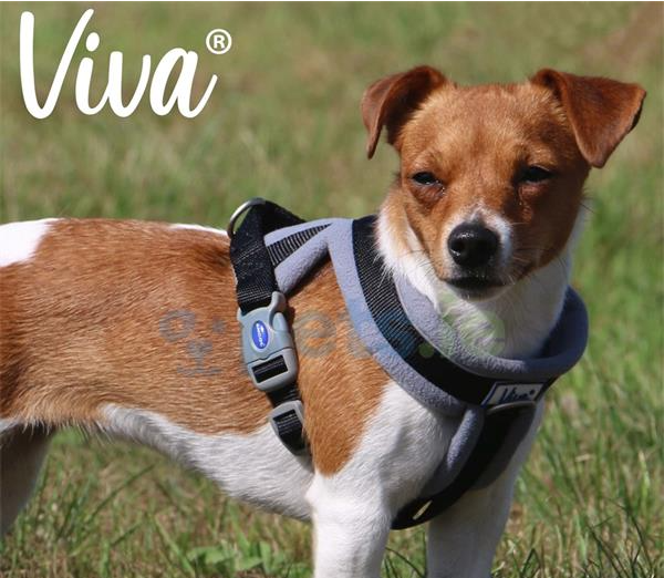 Ancol Viva - Padded Dog Harness - Black