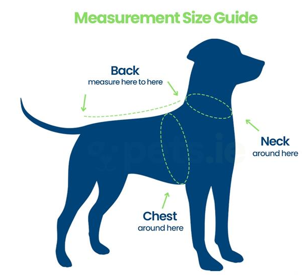 Ancol Viva - Padded Dog Harness - Black