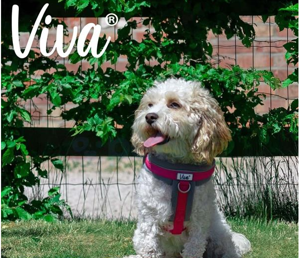 Ancol Viva - Padded Dog Harness - Pink