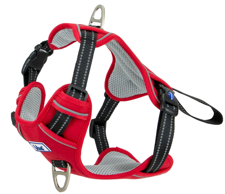 Viva Exercise & Travel Harness Red