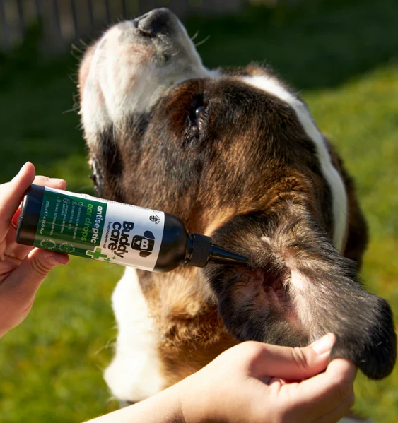 BuddyCare Antiseptic Ear Drops 200ml