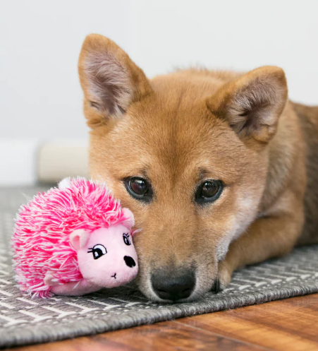 Kong Comfort Hedgehug Puppy X-Small