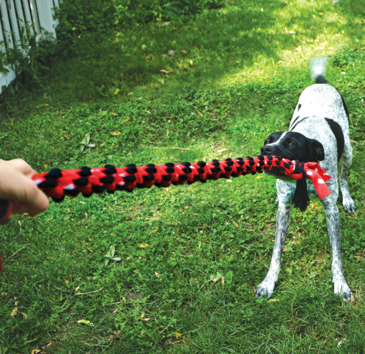 Kong Signature Rope Double Ring Tug