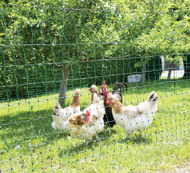 Electric Poultry Netting Single Prong 108cm x 50m