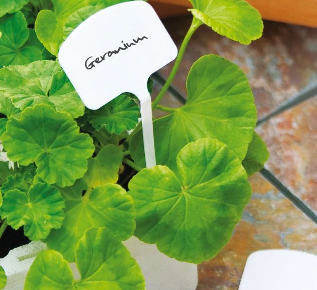 T Plant Labels 10 pack