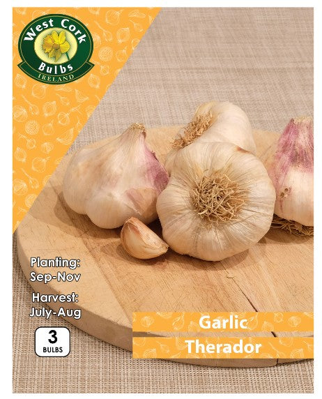 Garlic Therador 3 Bulbs Prepack