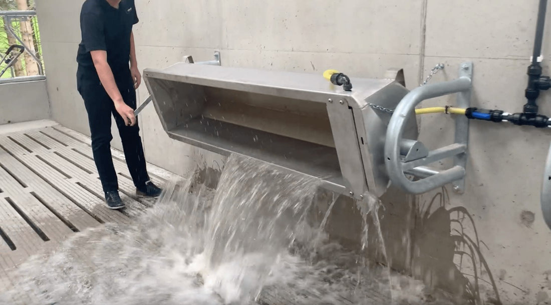 Tip Over Stainless Steel Drinker