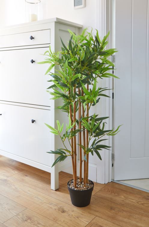 Bamboo 120 cm