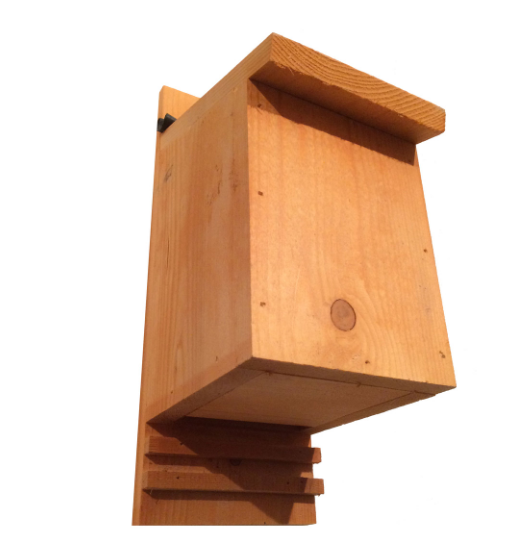 Bat Box