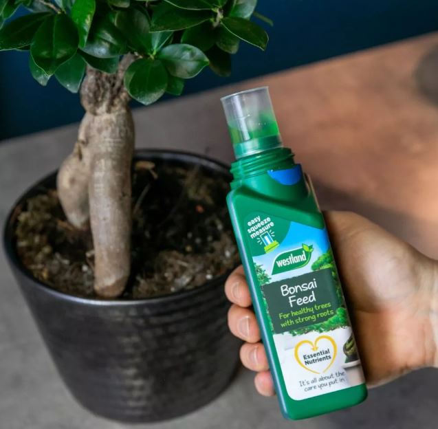 Westland Bonsai Feed Concentrate 200ml